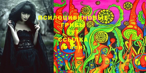 дживик Вязники