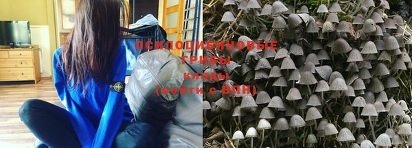 таблы Горняк
