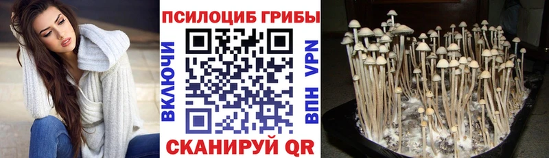 Галлюциногенные грибы мицелий Заозёрный