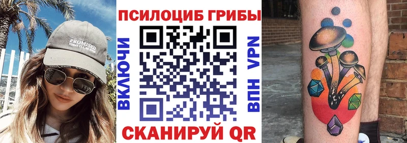 OMG зеркало  Заозёрный  Галлюциногенные грибы GOLDEN TEACHER 