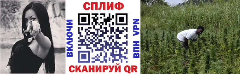 наркошоп  Заозёрный  Канабис конопля 